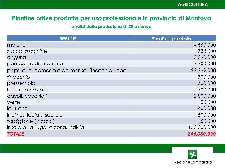 Piantine ortive prodotte per uso professionale in provincia di Mantova analisi della produzione di