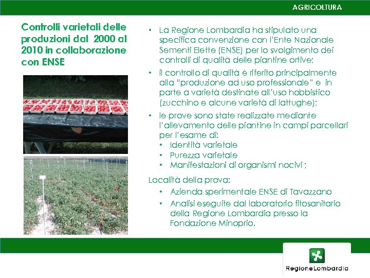 Controlli varietali delle produzioni dal 2000 al 2010 in collaborazione con ENSE • La