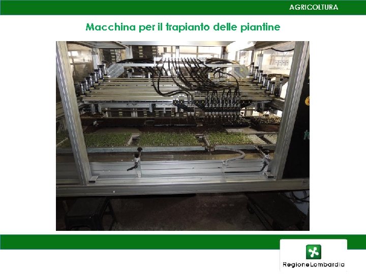 Macchina per il trapianto delle piantine 