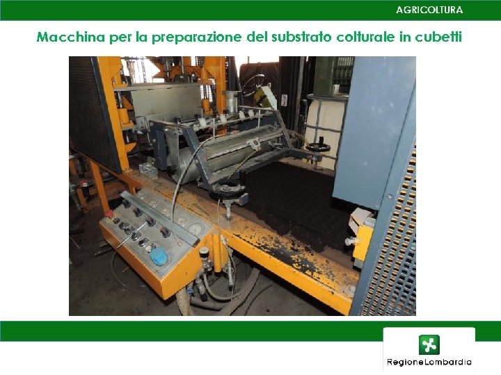 Macchina per la preparazione del substrato colturale in cubetti 