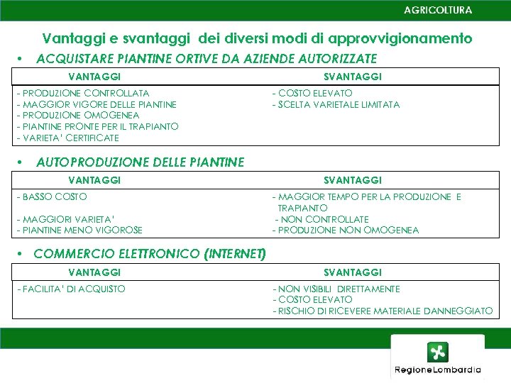 Vantaggi e svantaggi dei diversi modi di approvvigionamento • ACQUISTARE PIANTINE ORTIVE DA AZIENDE