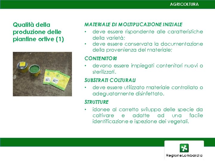 Qualità della produzione delle piantine ortive (1) MATERIALE DI MOLTIPLICAZIONE INIZIALE • deve essere