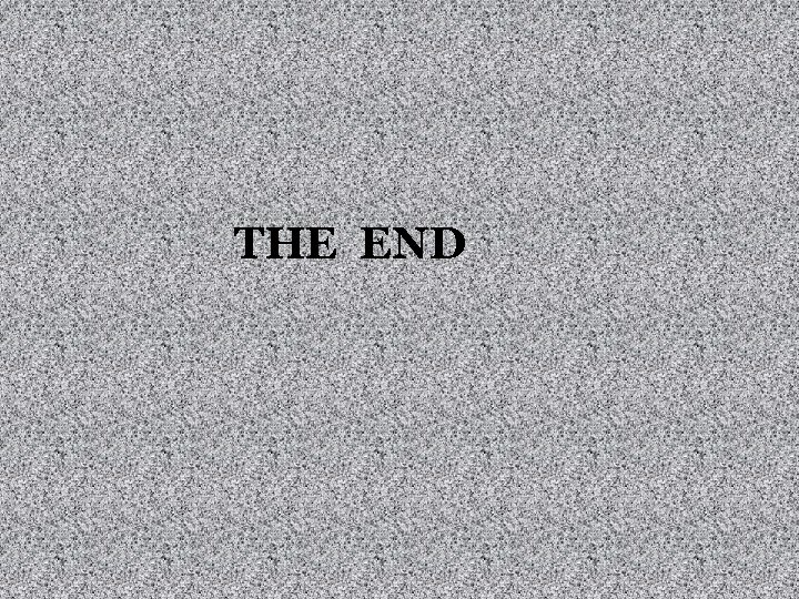 THE END 