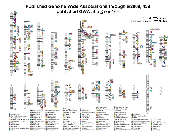 Published Genome-Wide Associations through 6/2009, 439 published GWA at p < 5 x 10