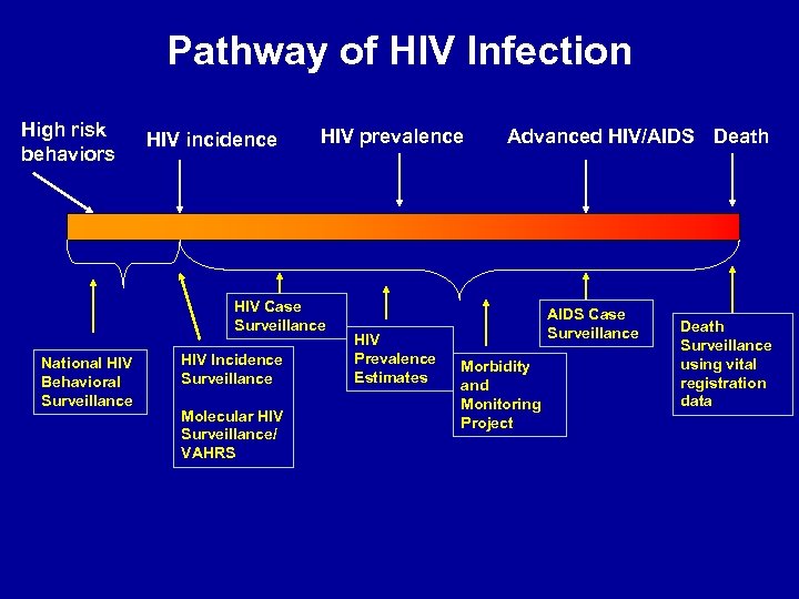 Pathway of HIV Infection High risk behaviors HIV incidence HIV prevalence HIV Case Surveillance