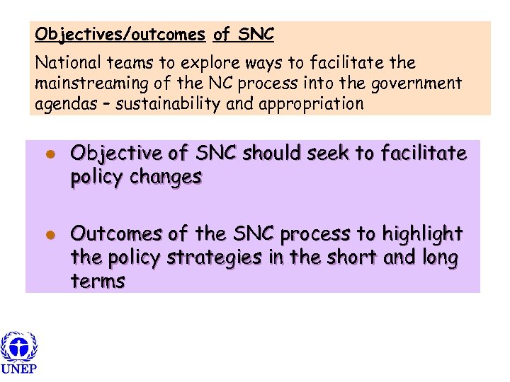 Objectives/outcomes of SNC National teams to explore ways to facilitate the mainstreaming of the
