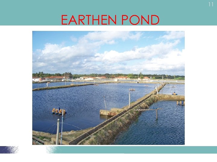 11 EARTHEN POND 