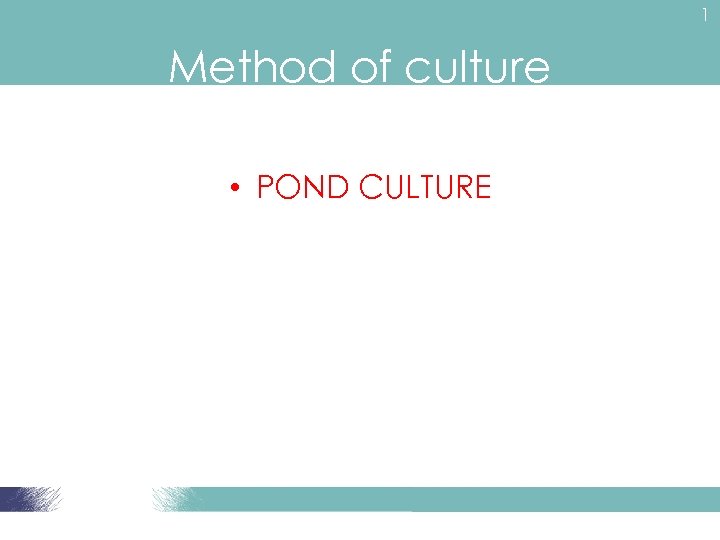 1 Method of culture • POND CULTURE 