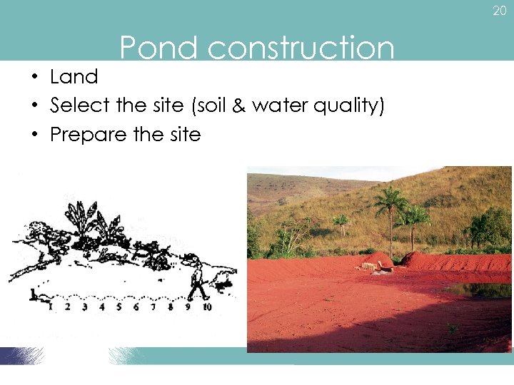 20 Pond construction • Land • Select the site (soil & water quality) •