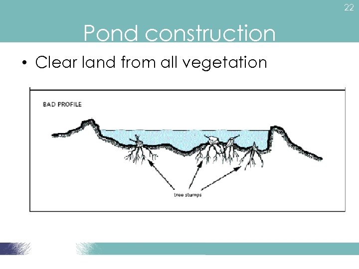 22 Pond construction • Clear land from all vegetation 