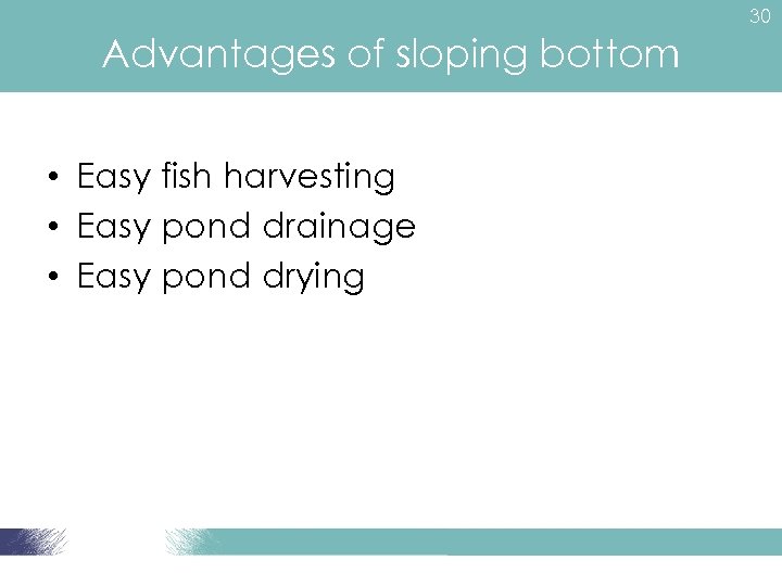 30 Advantages of sloping bottom • Easy fish harvesting • Easy pond drainage •