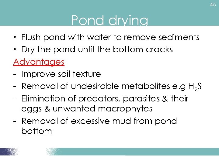 46 Pond drying • Flush pond with water to remove sediments • Dry the