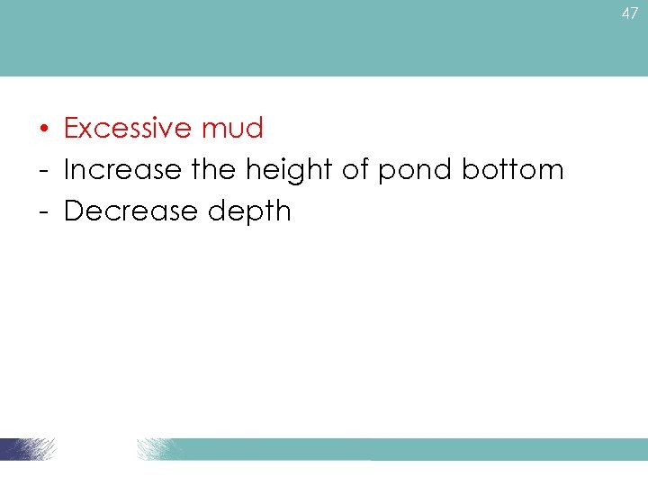 47 • Excessive mud - Increase the height of pond bottom - Decrease depth