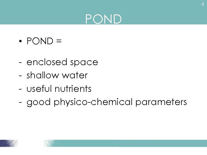 4 POND • POND = - enclosed space shallow water useful nutrients good physico-chemical