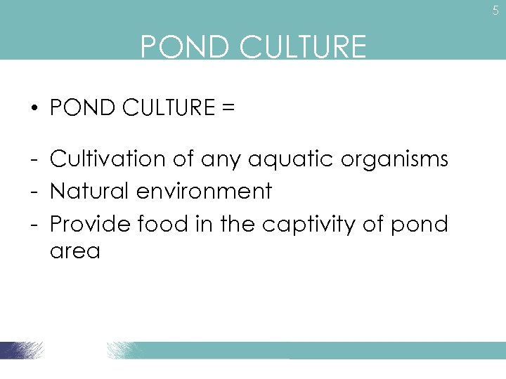 5 POND CULTURE • POND CULTURE = - Cultivation of any aquatic organisms -