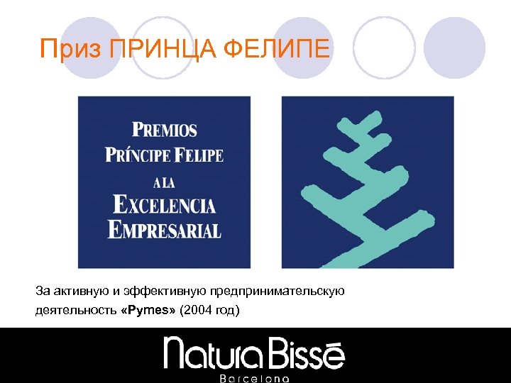 Приз ПРИНЦА ФЕЛИПЕ За активную и эффективную предпринимательскую деятельность «Pymes» (2004 год) 
