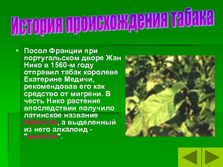 § Посол Франции при португальском дворе Жан Нико в 1560 -м году отправил табак