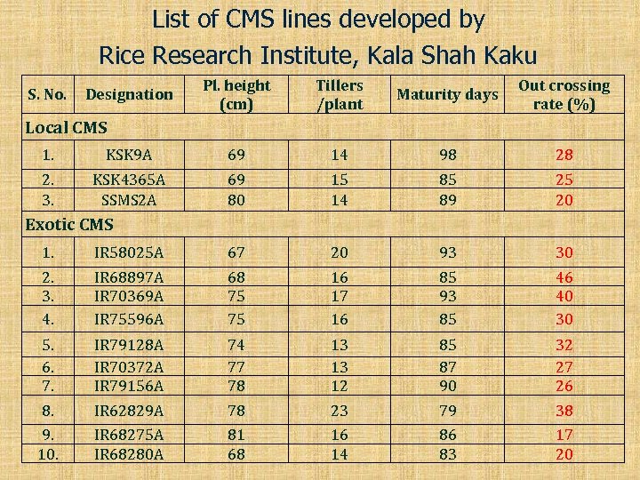 List of CMS lines developed by Rice Research Institute, Kala Shah Kaku S. No.