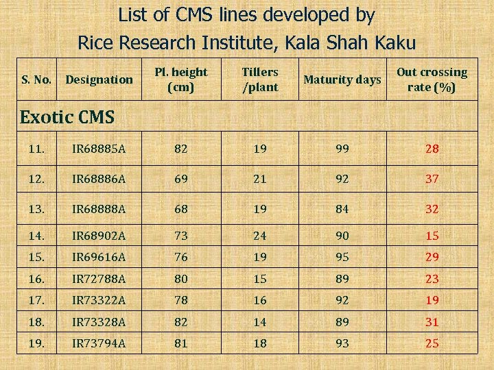 List of CMS lines developed by Rice Research Institute, Kala Shah Kaku S. No.