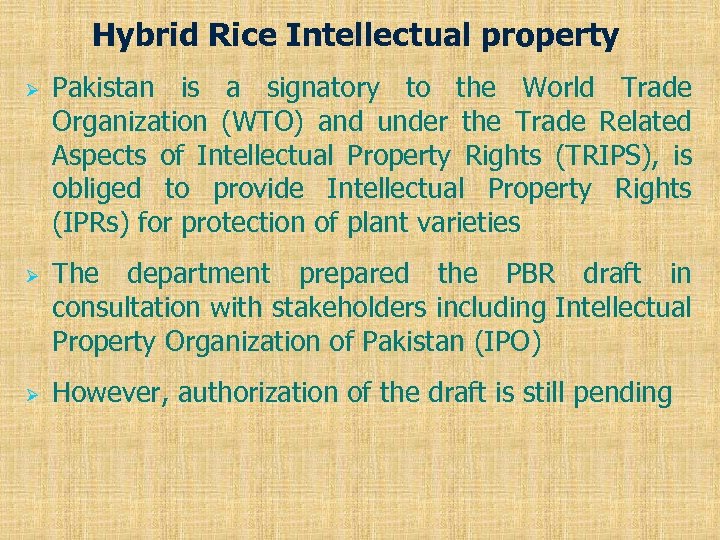 Hybrid Rice Intellectual property Ø Ø Ø Pakistan is a signatory to the World