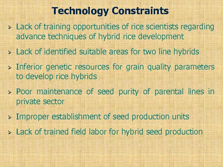 Technology Constraints Ø Ø Lack of training opportunities of rice scientists regarding advance techniques