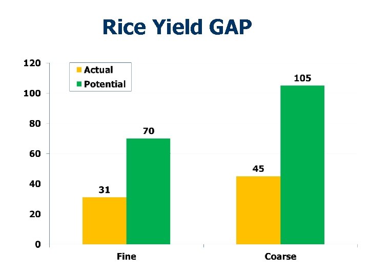 Rice Yield GAP 