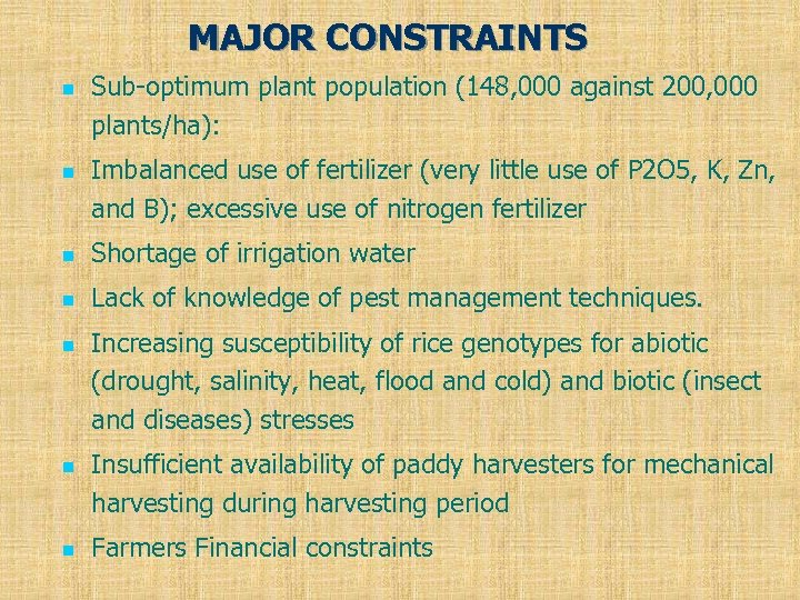 MAJOR CONSTRAINTS n n Sub-optimum plant population (148, 000 against 200, 000 plants/ha): Imbalanced