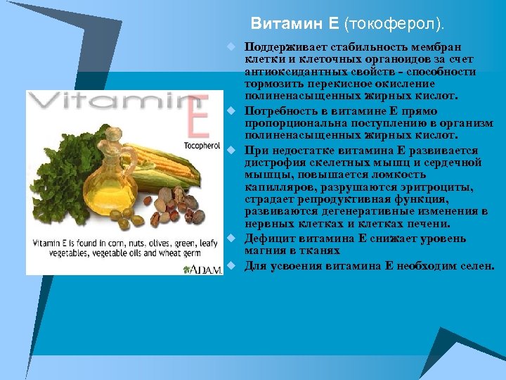 Витамин Е (токоферол). u Поддерживает стабильность мембран u u клетки и клеточных органоидов за