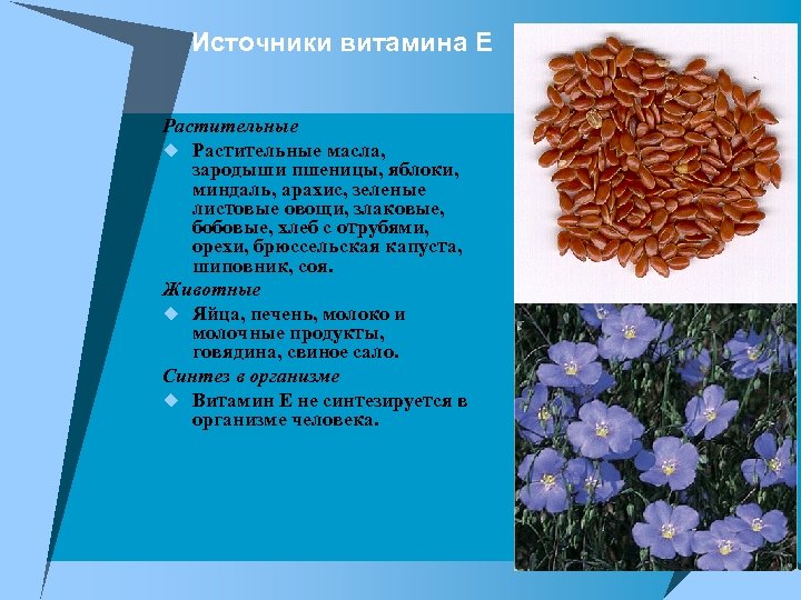 Источники витамина Е Растительные u Растительные масла, зародыши пшеницы, яблоки, миндаль, арахис, зеленые листовые