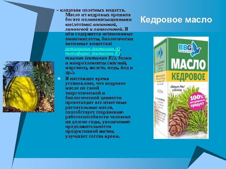  - кладовая полезных веществ. Масло из кедровых орешков богато полиненасыщенными кислотами: олеиновой, линолевой