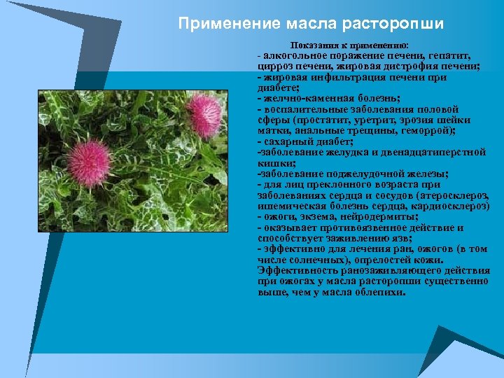  Применение масла расторопши Показания к применению: - алкогольное поражение печени, гепатит, цирроз печени,