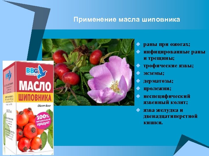 Применение масла шиповника u раны при ожогах; u инфицированные раны u u u и