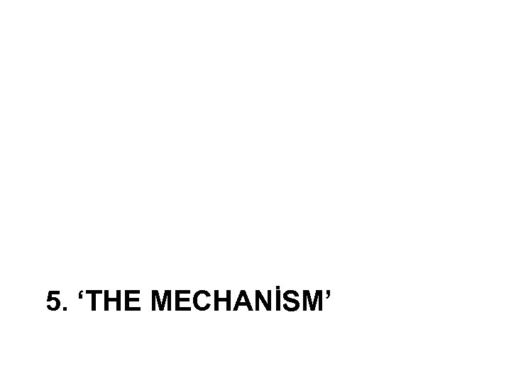 5. ‘THE MECHANİSM’ 