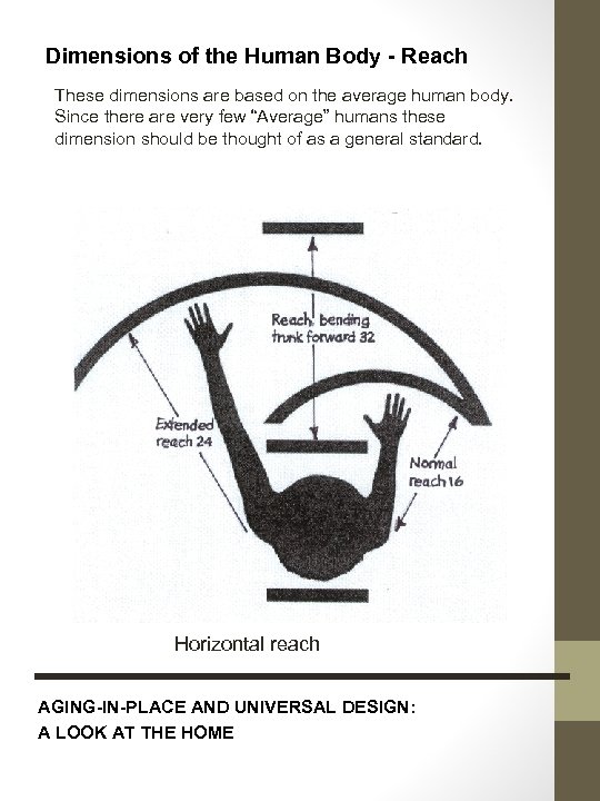 Dimensions of the Human Body - Reach These dimensions are based on the average