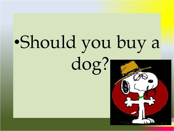  • Should you buy a dog? 