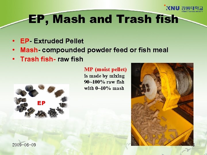 EP, Mash and Trash fish • EP- Extruded Pellet • Mash- compounded powder feed