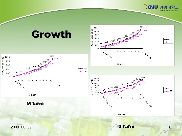 Growth M farm 2009 -06 -09 S farm 16 