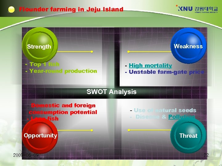 Flounder farming in Jeju Island Weakness Strength - Top 1 fish - Year-round production