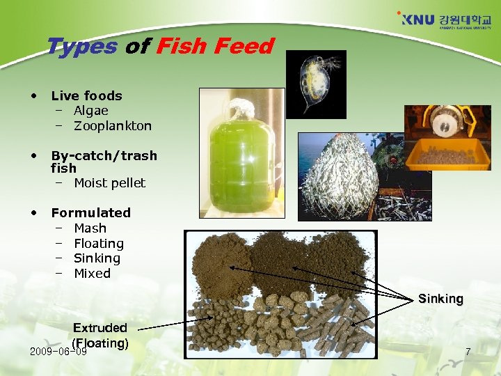 Types of Fish Feed • Live foods – Algae – Zooplankton • By-catch/trash fish