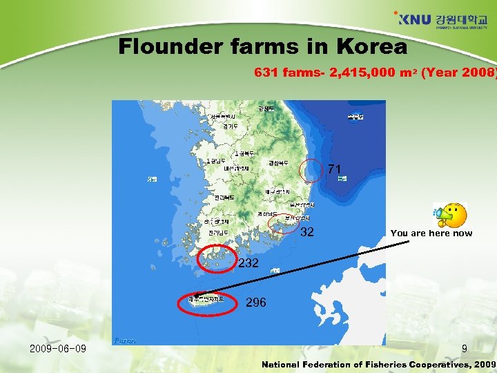 Flounder farms in Korea 631 farms- 2, 415, 000 m 2 (Year 2008) 71