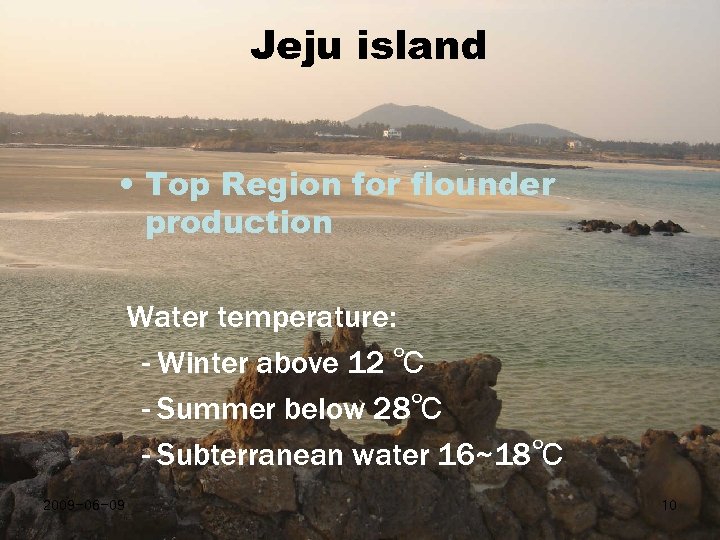 Jeju island • Top Region for flounder production Water temperature: - Winter above 12