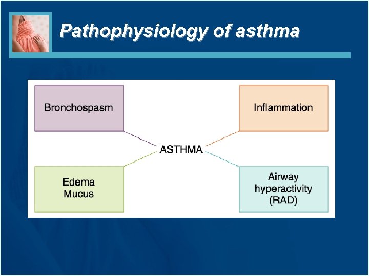 Pathophysiology of asthma 