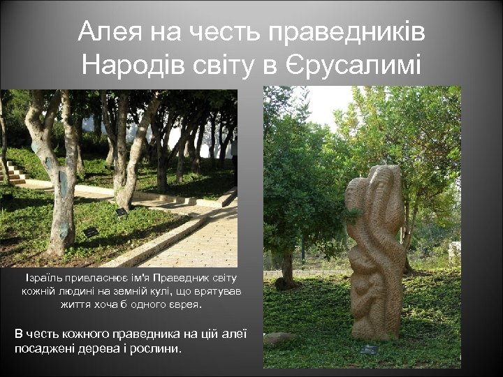 Алея на честь праведників Народів світу в Єрусалимі Ізраїль привласнює ім'я Праведник світу кожній
