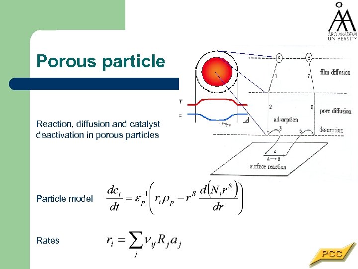 Porous particle Reaction, diffusion and catalyst deactivation in porous particles Particle model Rates 