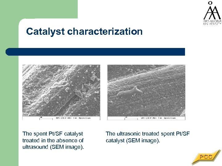 Catalyst characterization The spent Pt/SF catalyst treated in the absence of ultrasound (SEM image).