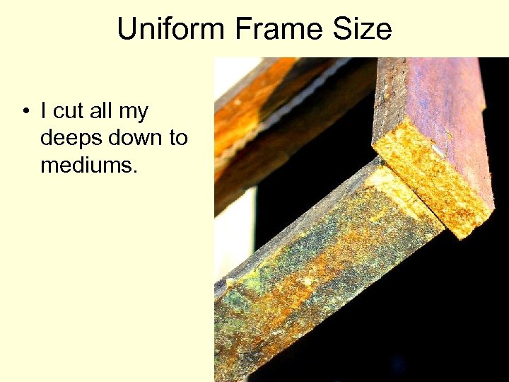Uniform Frame Size • I cut all my deeps down to mediums. 