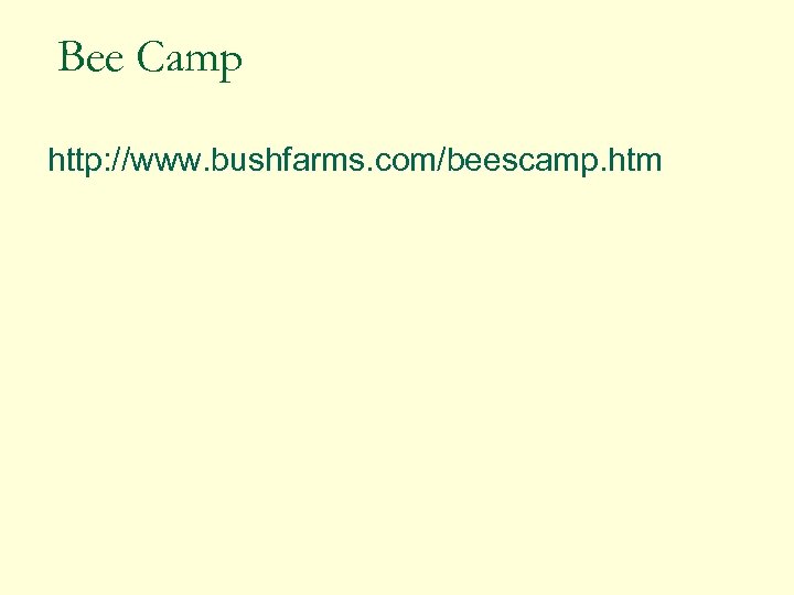 Bee Camp http: //www. bushfarms. com/beescamp. htm 