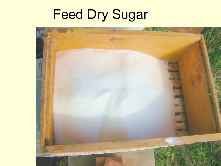 Feed Dry Sugar 