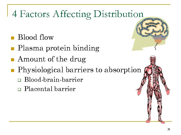 4 Factors Affecting Distribution n n Blood flow Plasma protein binding Amount of the