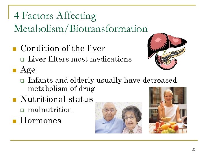 4 Factors Affecting Metabolism/Biotransformation n Condition of the liver q n Age q n